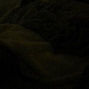 Meet your Posher, Mazzy